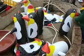 中国一动物园展出充气企鹅塑料蝴蝶 英媒：观众觉得被坑图片