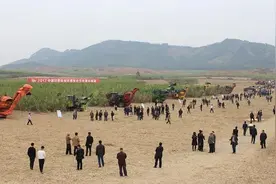 不看广告看成效，8款大型甘蔗收获机实际作业效果大比拼图片