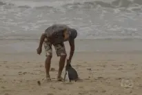 暖心分享 | 就是它！每年为看救命恩人游8000公里图片