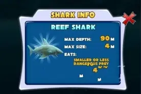 《饥饿鲨进化》鲨鱼图鉴图片