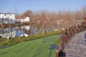 槐荫美丽乡村等您来踏青品乡愁图片