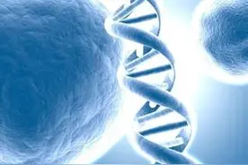 垃圾DNA的大作用图片