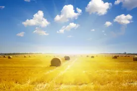 《故事会》开卷故事·眼见未必为实图片