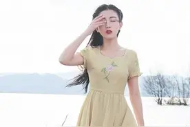 2016年夏季女装新款绣花连衣裙图片