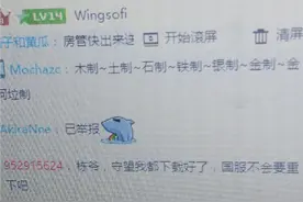 下载他服守望客户端 国服只需更新语音包图片