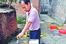 河田再现土法甘蔗榨糖 吃货看过来！图片
