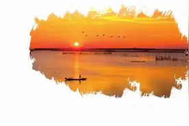 冬季到湿地去观鸟 城市观鸟可去长沙四大国家湿地公园图片