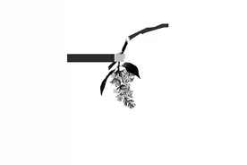 枝头春意挡不住“辣手摧花”图片