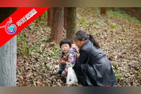 小孩景区随地大小便被指责，婆婆还想动手打人！视频封面