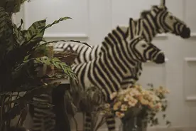 秘密花园内的美甲派对图片