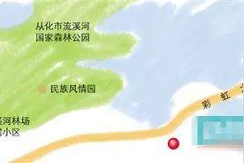 从化流溪河森林公园松树“患癌”了图片