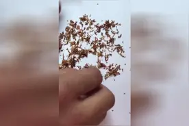 注意啦，这几种烟里含有纸屑