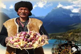 玛咖价格暴跌与谷贱伤农图片