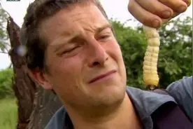 荒野求生之贝爷饮食篇（国语完整版）——麻烦你看时别吃东西！图片