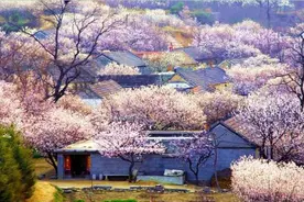 鼻子里灌辣椒水，竟然把过敏性鼻炎治好了！图片