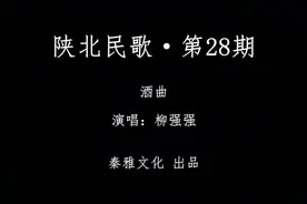 酒曲丨柳强强演唱·陕北民歌第28期图片
