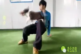 凌云边牧飞盘狗——重要的事情说三遍！图片