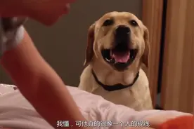 当你和女朋友要快乐的时候，有只狗在旁边，你会怎么办。图片