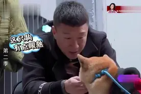 笑翻孙红雷的宠物神级撞脸，这颜值真是越看越像黄渤视频封面