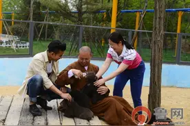 佛学界“网红”延参法师来济野做饲养员啦！图片