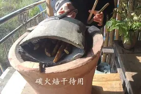 乡村峭壁上的胡孙姜，能治肾虚耳鸣，骨折，牙痛出血，股骨头坏死视频封面