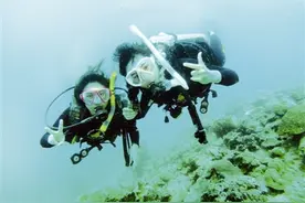 好消息！ 深圳市民可在南澳考潜水员牌照图片