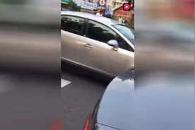 一群训练有素的的狗狗，过马路守规则视频封面