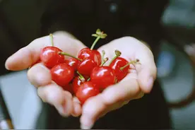 顺丰推水果寄递方案 五方面升级传统冷运图片