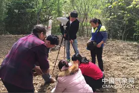 商洛：主动出击打响核桃防冻保卫战图片