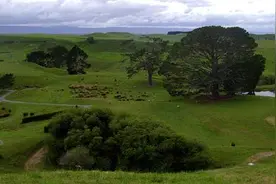 亲子特价机票高大上新西兰往返含税仅3K多图片