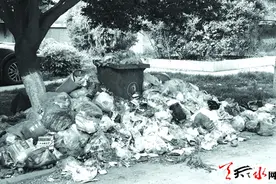准排证办理遇难题 麦积小区垃圾堆积如山图片