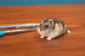 5个是生活更加便捷的小诀窍