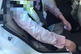 拉绿通特别是冷藏车的注意了！图片