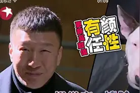 长得很像孙红雷的狗爆红网络，牛头梗撞脸颜王笑翻天图片