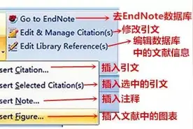 干货 | 了不得，Endnote联合word把参考文献给做了图片