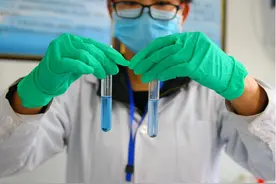 嘉峪关：紫甘蓝洗出“蓝墨水”?图片