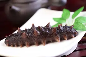 你知道多少海参小知识？图片