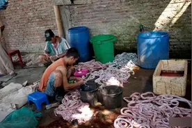 印尼屠宰场宰杀眼镜蛇图片