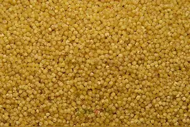 来到张家口你必要知道的十大特产！图片