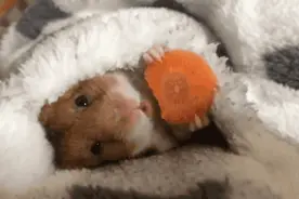 还待被窝如初恋？不如起来与阳光共舞图片