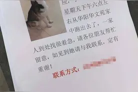 女子贴寻狗启事找“彭于晏”：叫这名它有反应图片