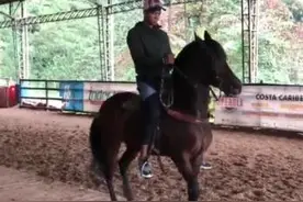 驯马高手？瓜林晒骑马视频，化身盛装舞步骑手图片