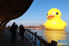 著名艺术品“大黄鸭”亮相春城昆明图片