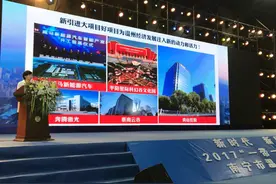 651亿元！温州提前1个月完成招商引资到资任务图片