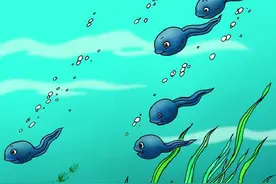 显微镜地下的蝌蚪原来长这样，真的好可怕！图片