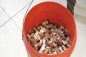 市民买猪肉做香肠夜里竟发出蓝光 或因喂养时磷元素超标图片