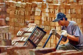 澳大利亚“搬砖”能月入20万？一组照片告诉你真相图片