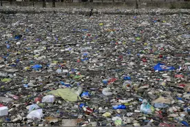 菲律宾马尼拉河流污染严重 垃圾吞噬河面图片