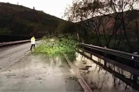 暴风雨袭击 鸡石通建交警冒雨排险保平安图片