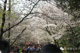 苏州的隐秘郊区，竟然私藏了这么多好玩的地方！图片